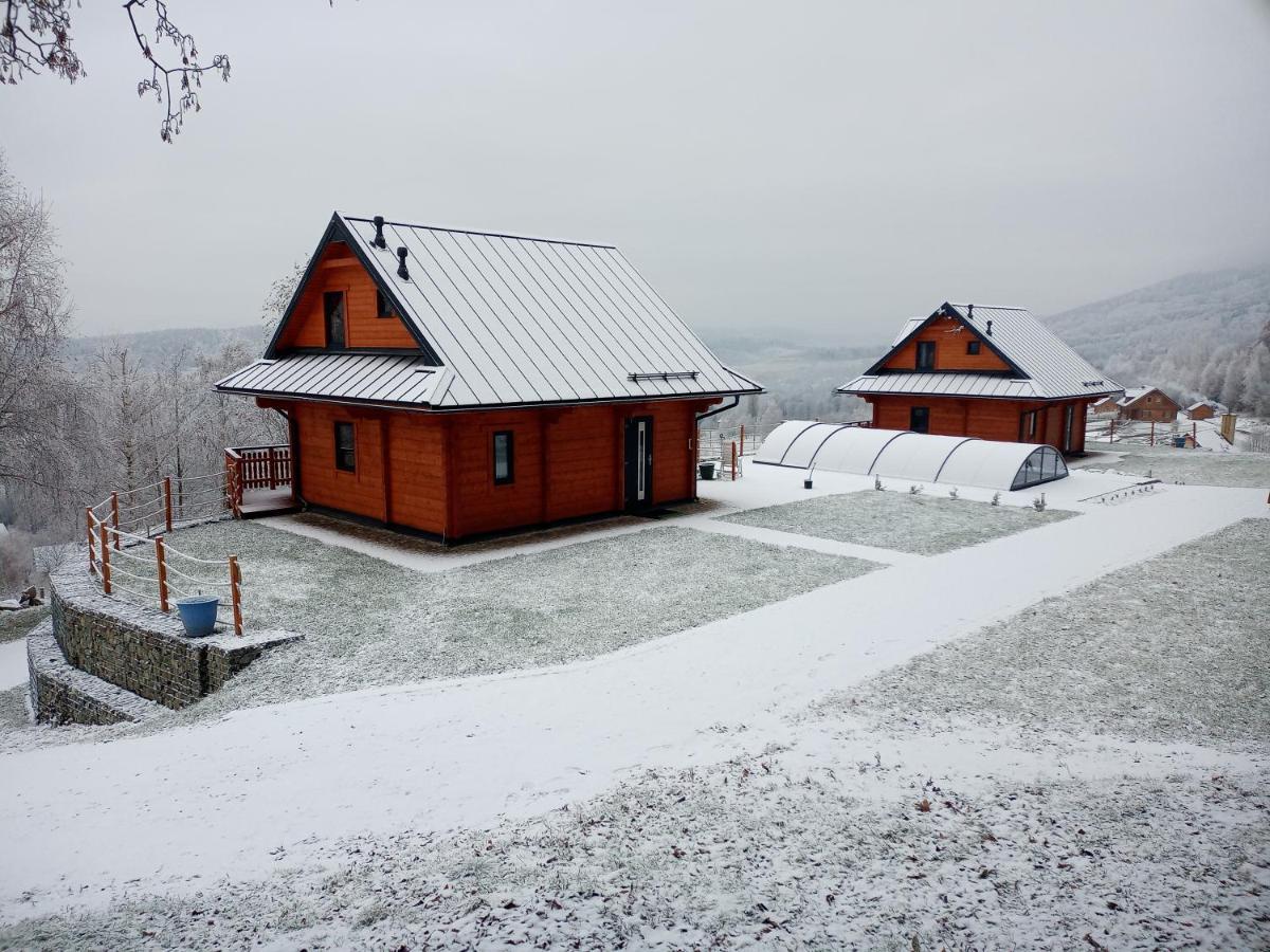 Apartamento Sowiogórska Ostoja Jugów Exterior foto